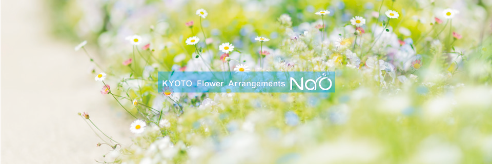 トップページ、可愛い小花の写真